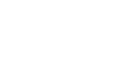 Euforia Sneakers